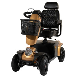 Freerider FR1 Cruiser