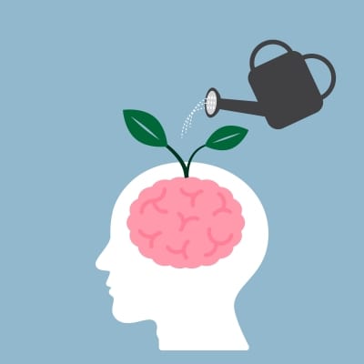 Keeping The Mind Active
